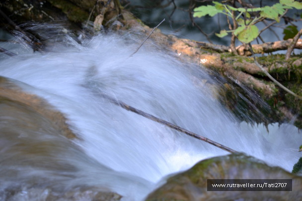 photo 1081929