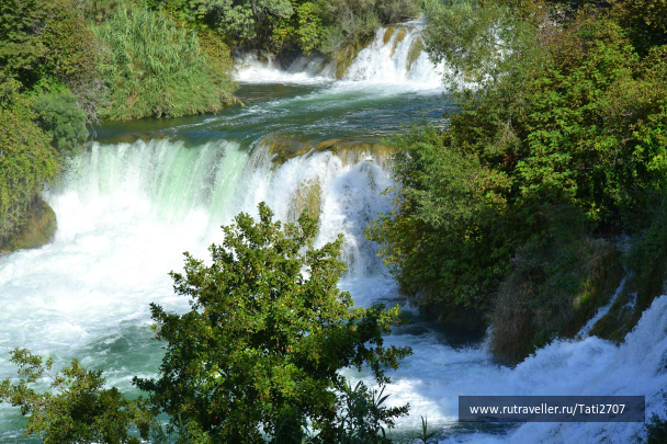 photo 1147801