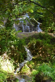 photo 865321