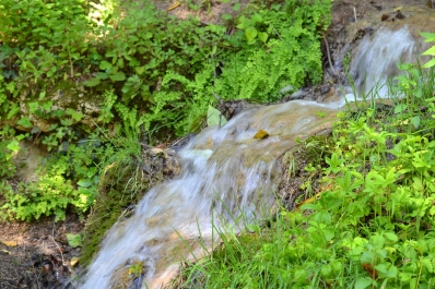 photo 865322