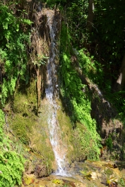 photo 865323