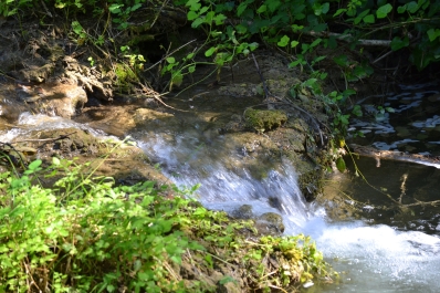 photo 865757