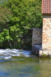 photo 866223