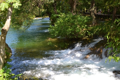 photo 866224