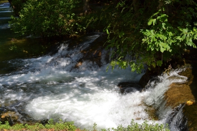 photo 866225