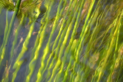 photo 869917