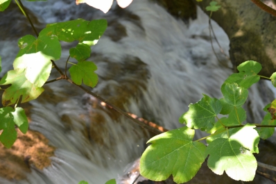 photo 876698