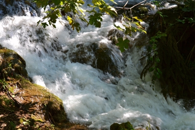 photo 876699