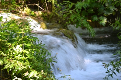 photo 876700
