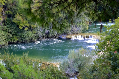 photo 878202