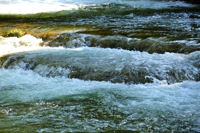 photo 878226