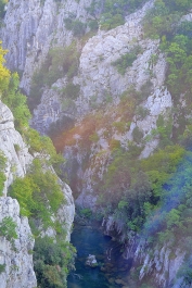 photo 878242