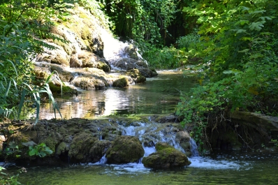 photo 887775