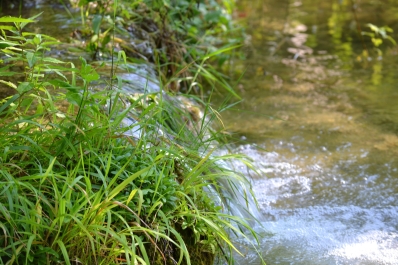 photo 898424