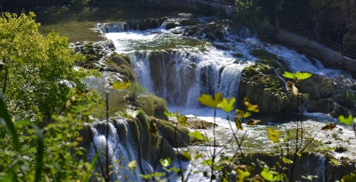 photo 905305