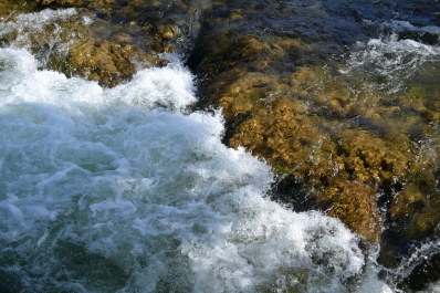 photo 969438