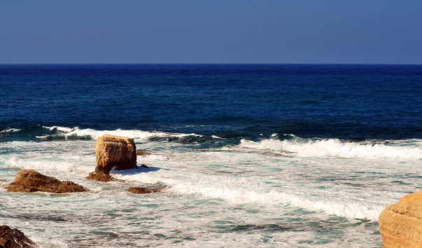 DSC_00651