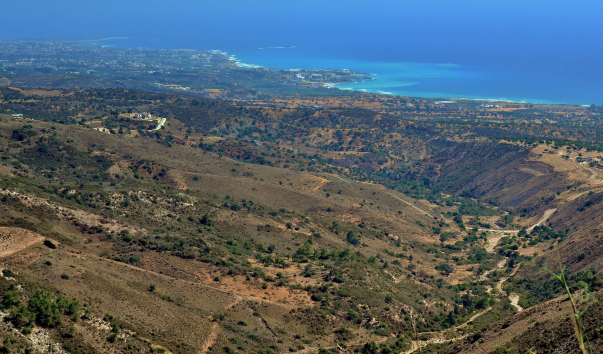DSC_0225 (2)1