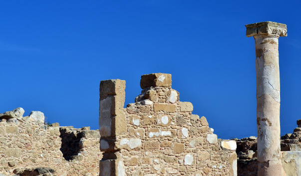 DSC_0392 (2)1