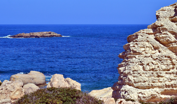 DSC_0077 (2)1