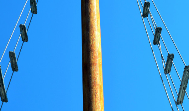 DSC_07561