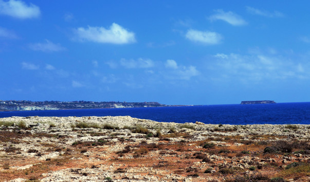 DSC_06031