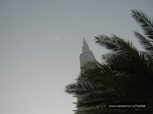 photo 290377