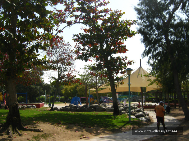 photo 290378
