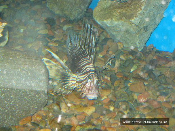 photo 488479