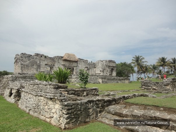 photo 463778