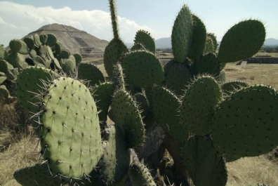 photo 852825