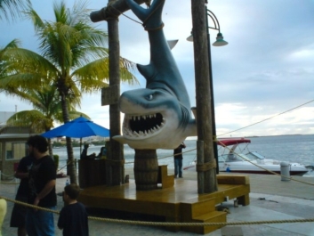 photo 872632