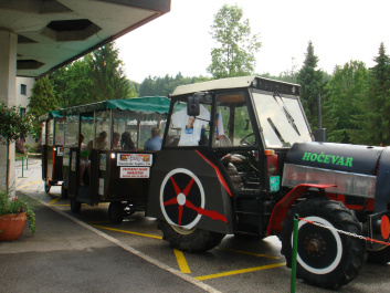 photo 207328