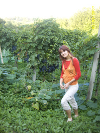 photo 78589