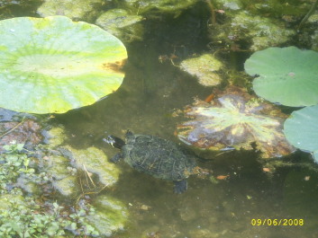 photo 78592
