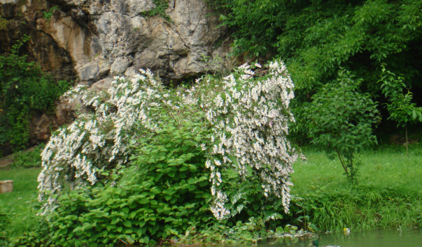 DSC04368