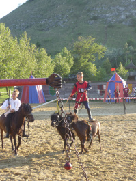 photo 84318