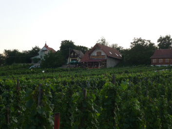 photo 85689