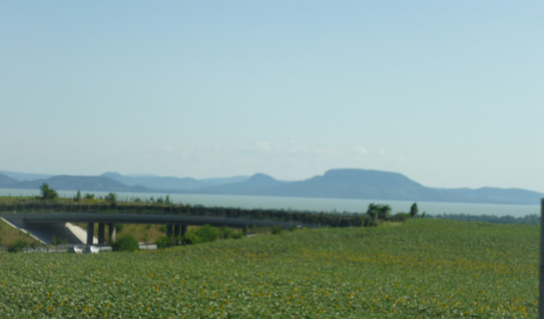 P1020374