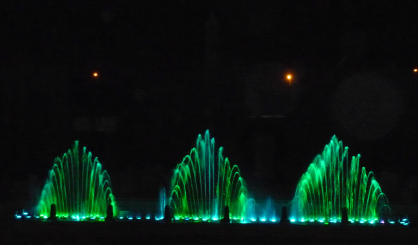 P1030311