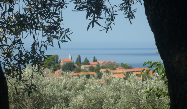 P1000141
