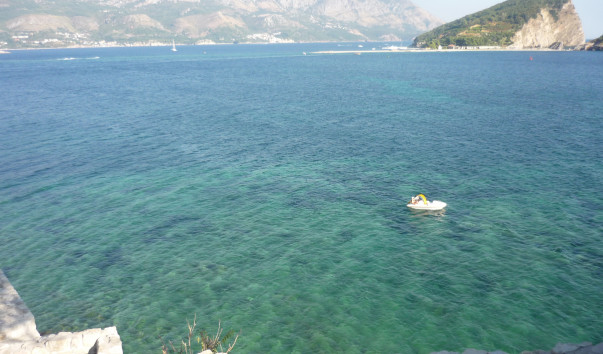 P1000089