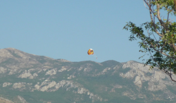 P1000088
