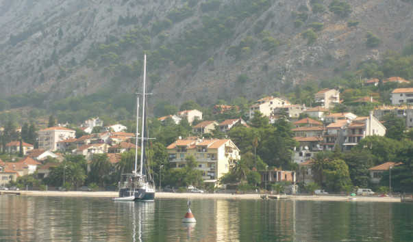 P1000239