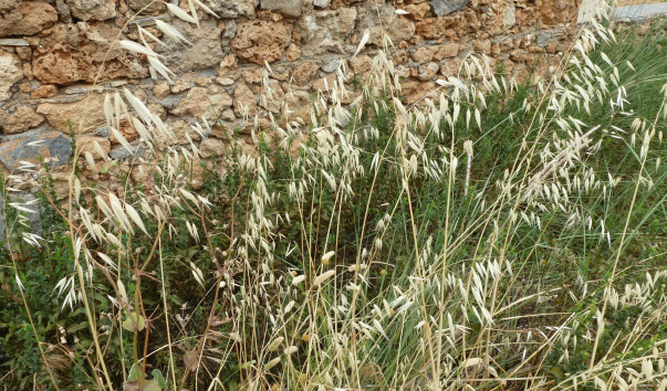 P1000753