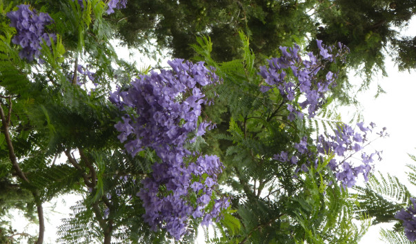 P1000749