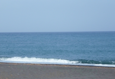 photo 973864