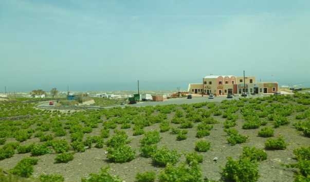 P1000796