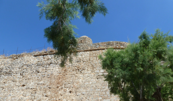P1010118