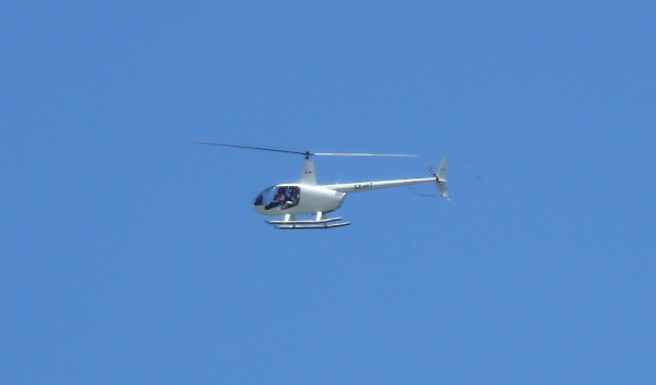 P1000682